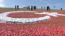 Çocuklar İçin Taşlardan Dev Türk Bayrağı Yaptı