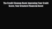 [Read book] The Credit Cleanup Book: Improving Your Credit Score Your Greatest Financial Asset