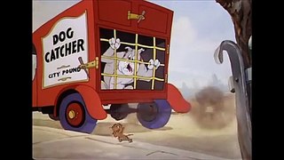 Tom and Jerry, 15 Episode - The Bodyguard (1944)