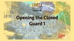 Fernando Terere - Favela Jiu Jitsu - Opening the Closed Guard 1 - YouTube