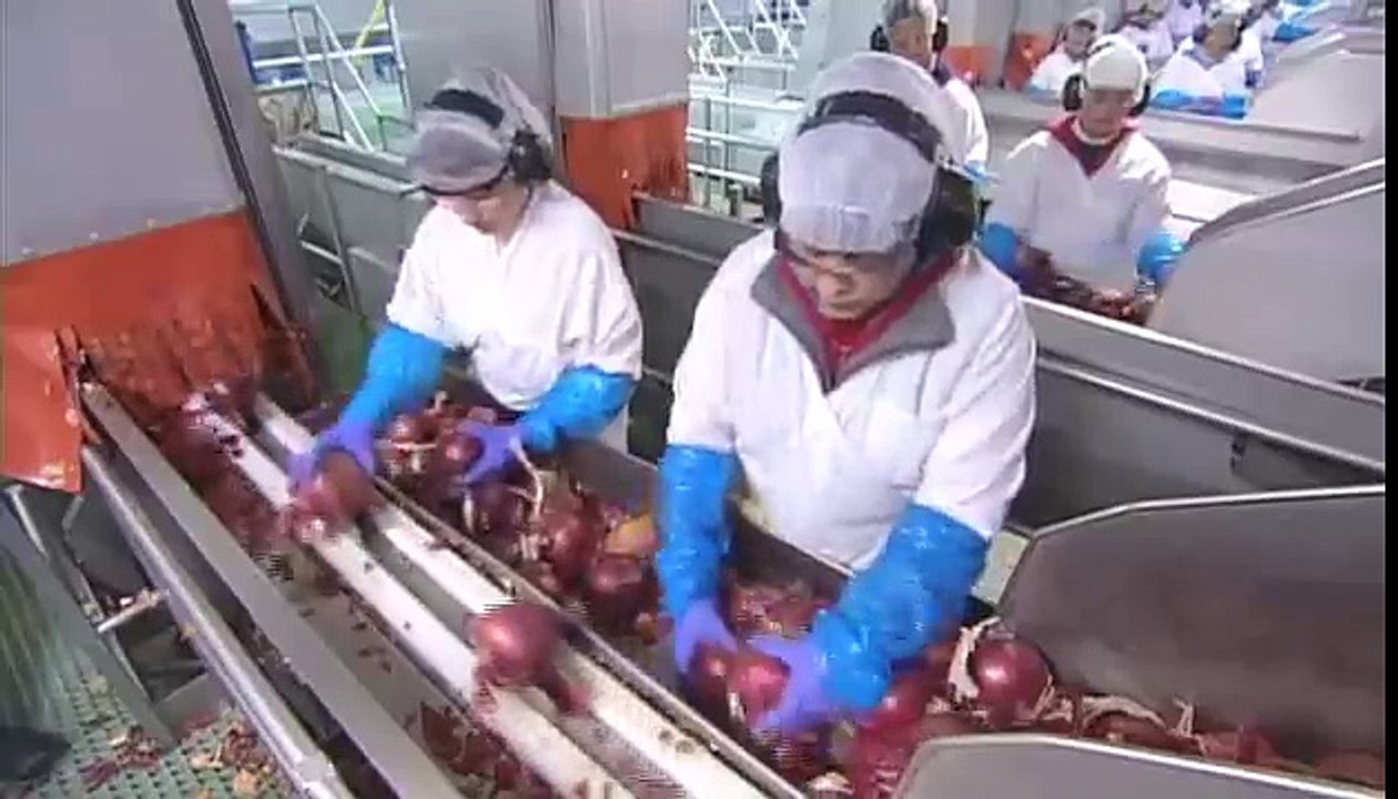 Sigur nu știai cum este pregătită ceapa pe care o cumperi din supermarket direct tăiată! Privește cum funcționează tot