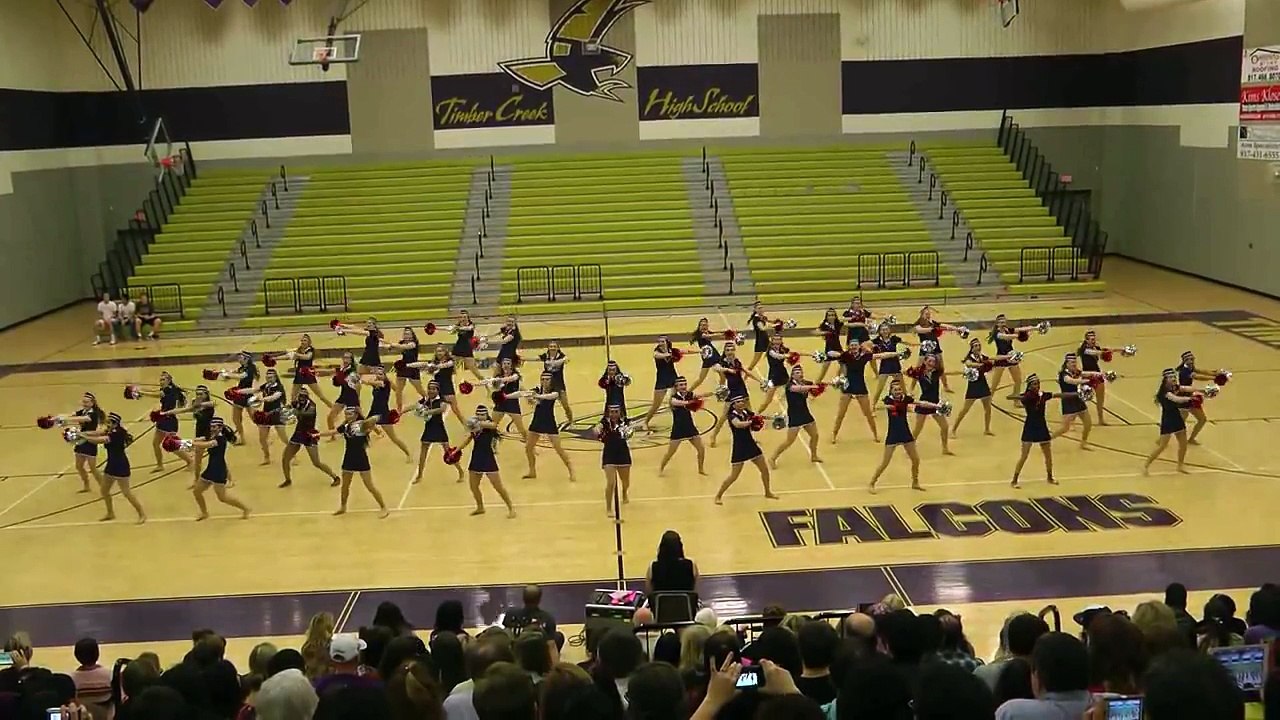 20140219_TCHS_Sky_Dancers_Showcase_Pom_00015