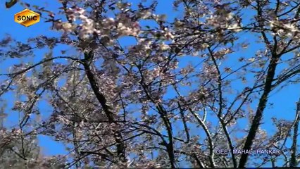 Zindagi Ke Safar Mein--Kishore Kumar_(Aap Ki Kasam(1974))HD_with GEET MAHAL JHANKAR