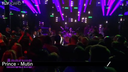 Hommage à Prince - RIP (1958 - 2016)