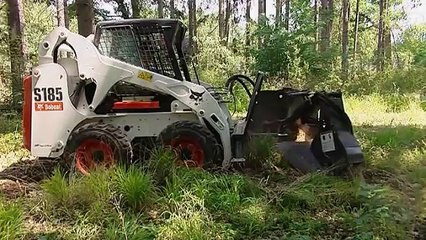 stump grinding brisbane