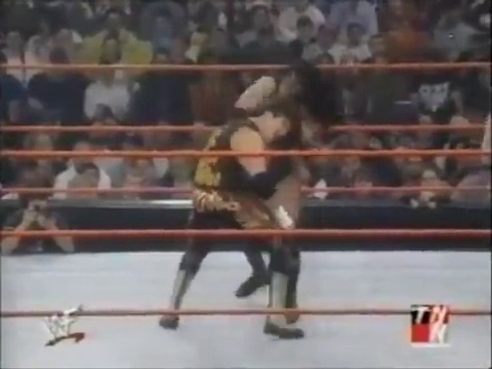 A tribute to Chyna