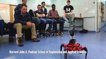 Trigger-happy robot designed by Harvard University students wins mech-warfare contest