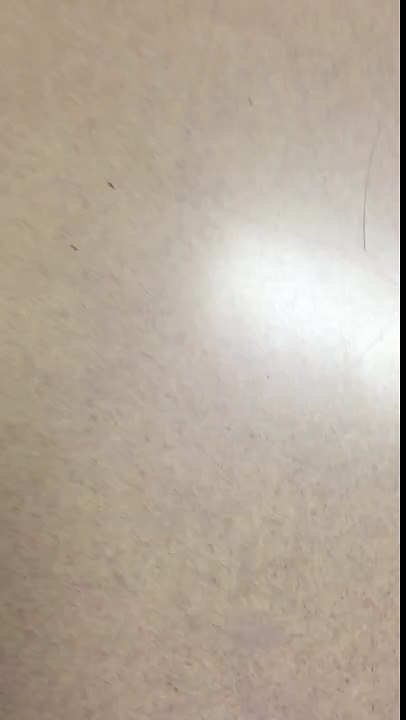 School bag flip prank (GONE CORRECT)