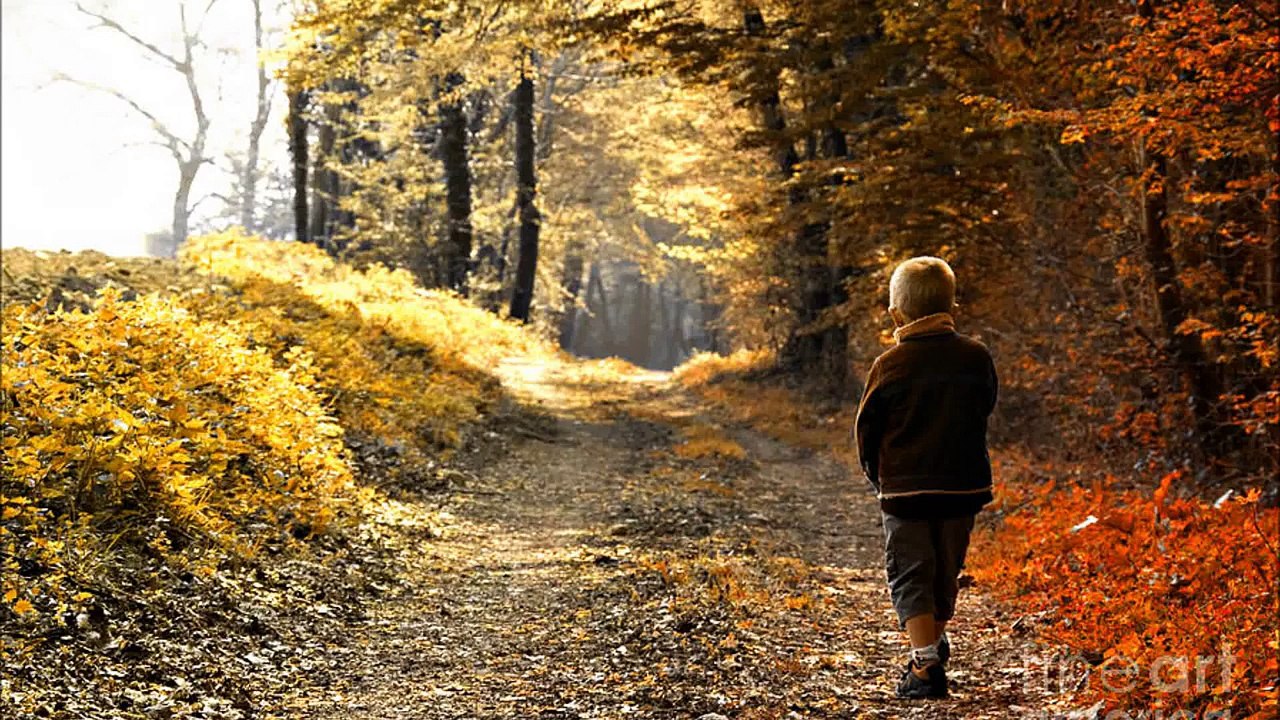 Orman Haftası Şarkısı ,Kestane, gürgen, palamut Altı yaprak üstü bulut