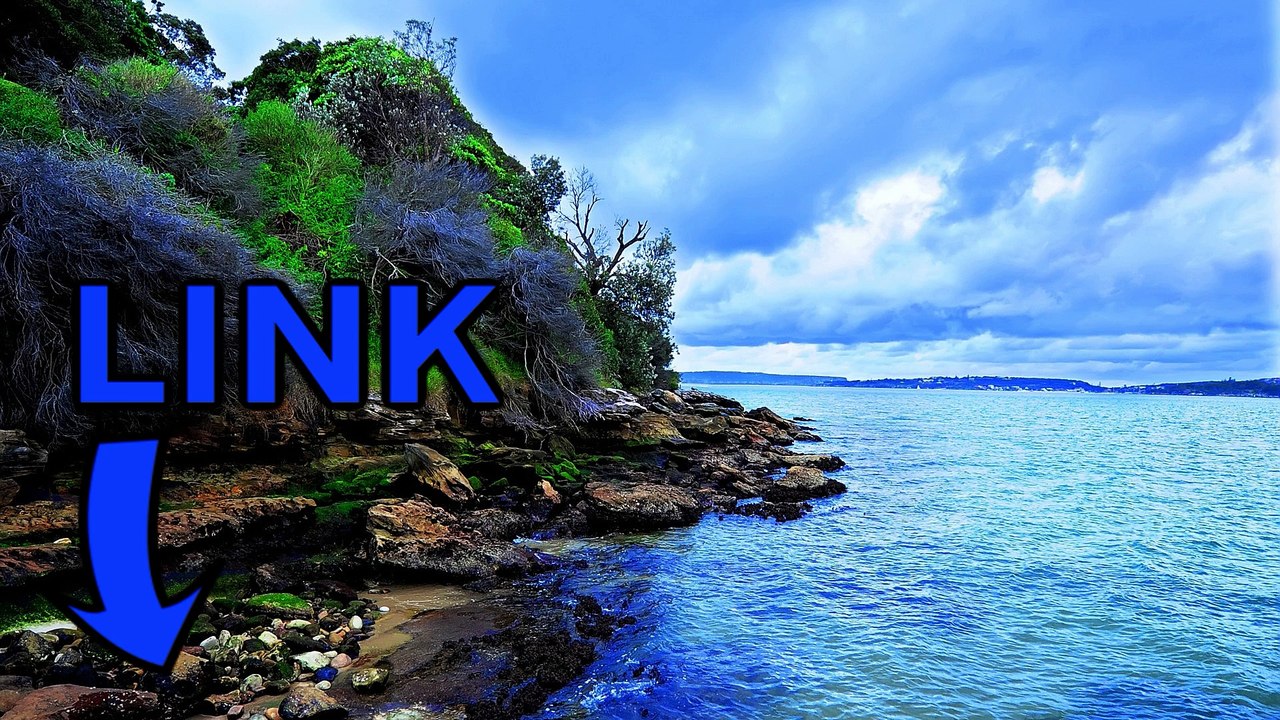 Download Crusaders of the Lost Idols telecharger 2016