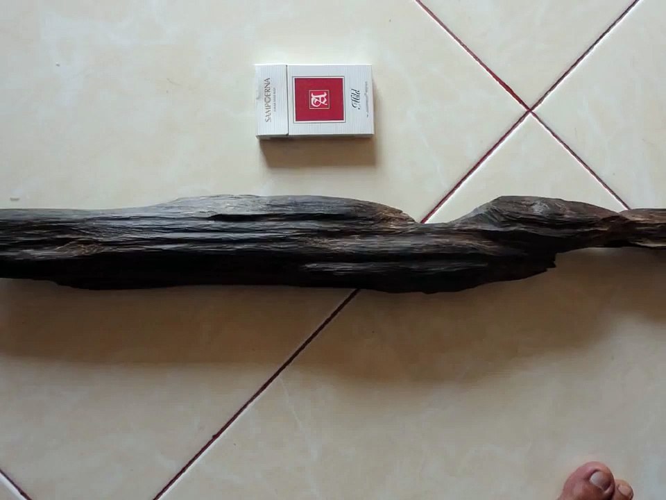 gaharu