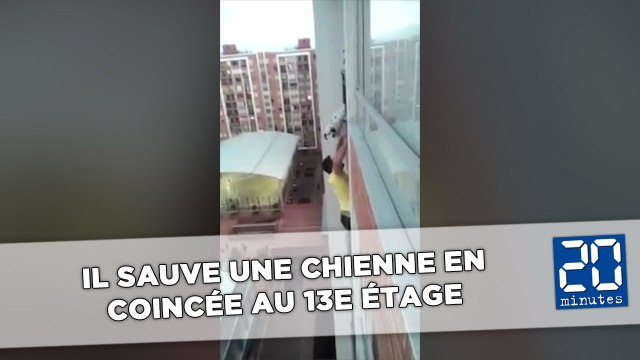 Il sauve une chienne en escaladant la façade d'un immeuble