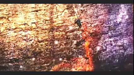 1-Sub Say Barra Jaahil Koon  By Maulana Tariq Jameel (Bayaan # 9)