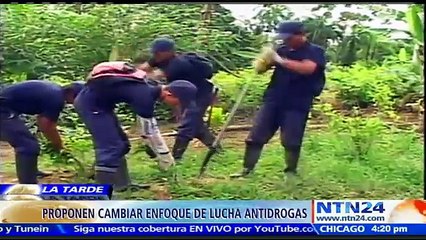 Posturas divididas: ONU cierra tercera sesión especial sobre el fin de la guerra a las drogas