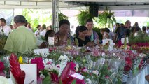 Festival das Flores de Holambra movimenta Teresina