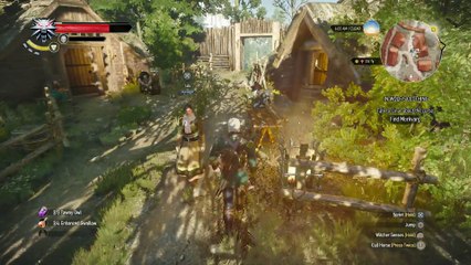 WITCHER 3 DEATH MARCH! WALKTHROUGH 135 - IN WOLF'S CLOTHING WEREWOLF KILL