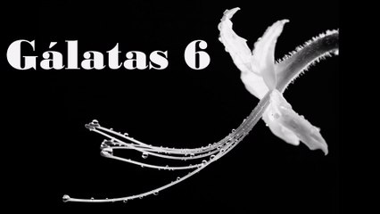 Gálatas - 06