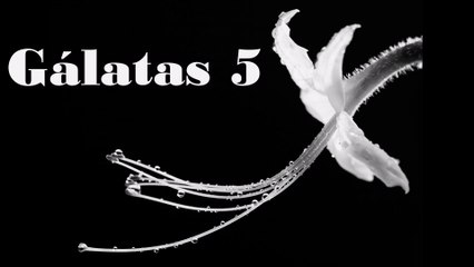 Gálatas - 05