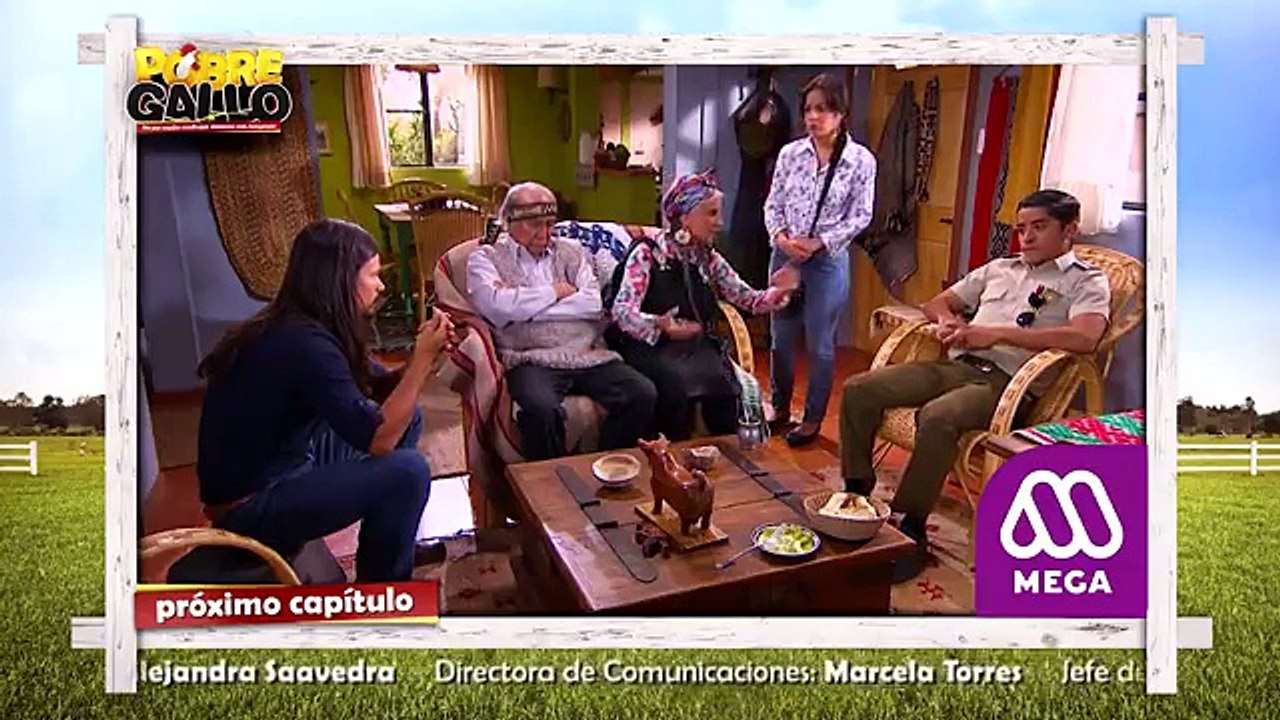 75 Avance Pobre Gallo