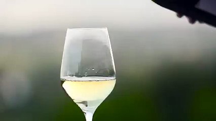 Wine Pouring in Slow Motion