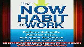 Full Free PDF Downlaod  The Now Habit at Work Perform Optimally Maintain Focus and Ignite Motivation in Yourself Full EBook