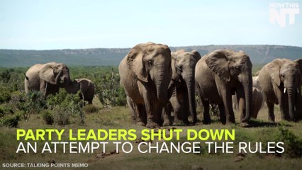 The RNC Could Still Get A Little Kooky