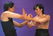 Lecciones de Wing Chun