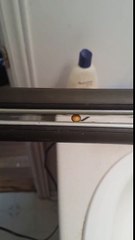 Pop-corn avec un fer à lisser