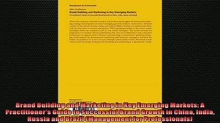 READ book  Brand Building and Marketing in Key Emerging Markets A Practitioners Guide to Successful  FREE BOOOK ONLINE