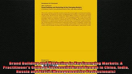 READ book  Brand Building and Marketing in Key Emerging Markets A Practitioners Guide to Successful  FREE BOOOK ONLINE
