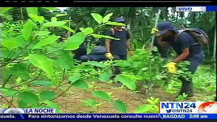 "La guerra contra las drogas fracasó": César Gaviria en NTN24 Prt. 1