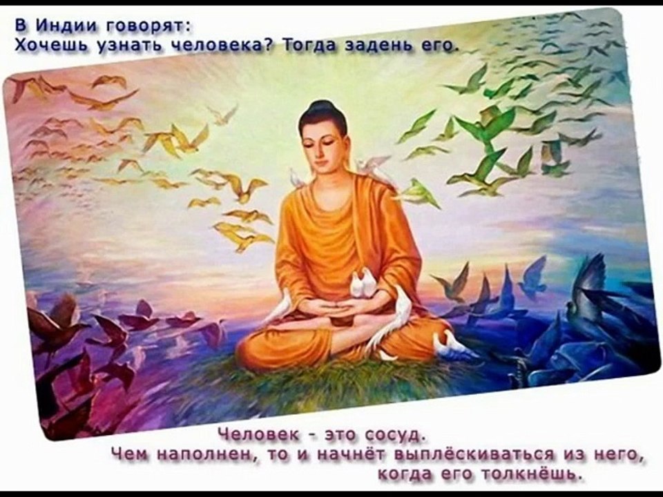 О чем не говорит мудрый человек (ведическая концепция). Владимир Дружинин