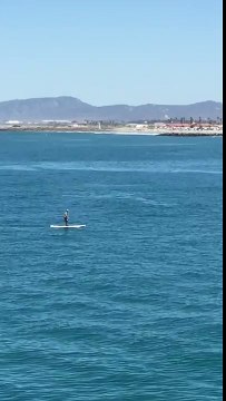 Une baleine saute près d'un paddleboardeur