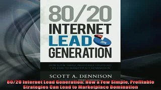 EBOOK ONLINE  8020 Internet Lead Generation How a Few Simple Profitable Strategies Can Lead to  FREE BOOOK ONLINE