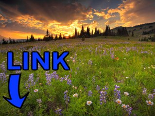 Spintires key generator