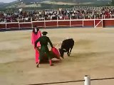 toros villanueva de mesia 008