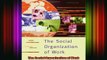 READ book  The Social Organization of Work Online Free