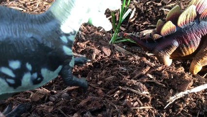 Dinosaur Life Episode 17:"Carnivore Karma"