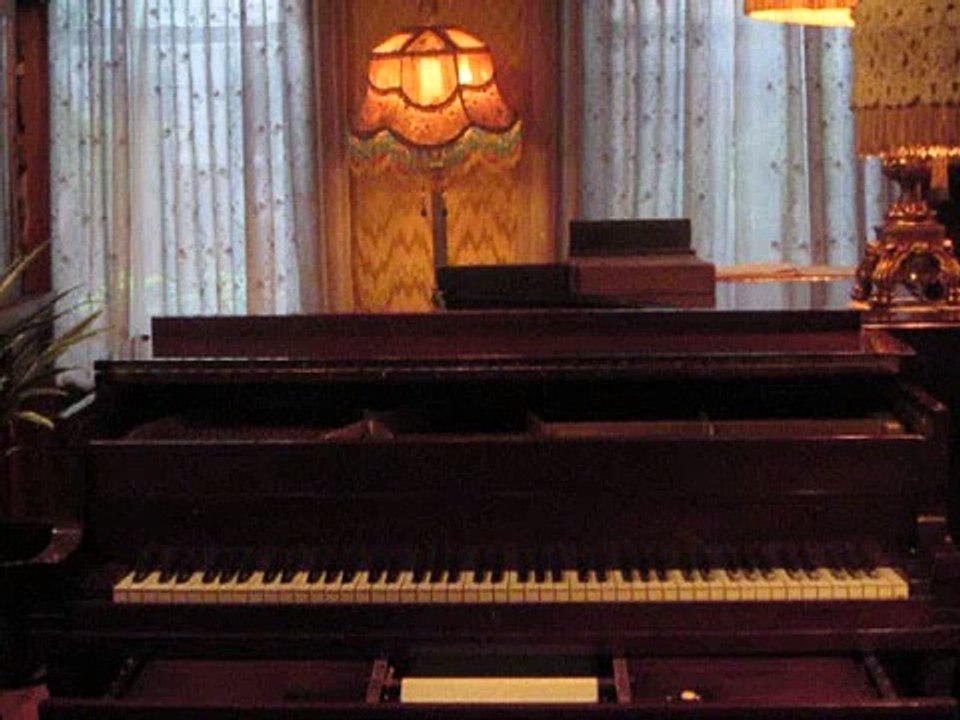 Play Gypsies-Dance Gypsies (Kalman-Smith) Fox-trot, played by Howard Lutter (1926)