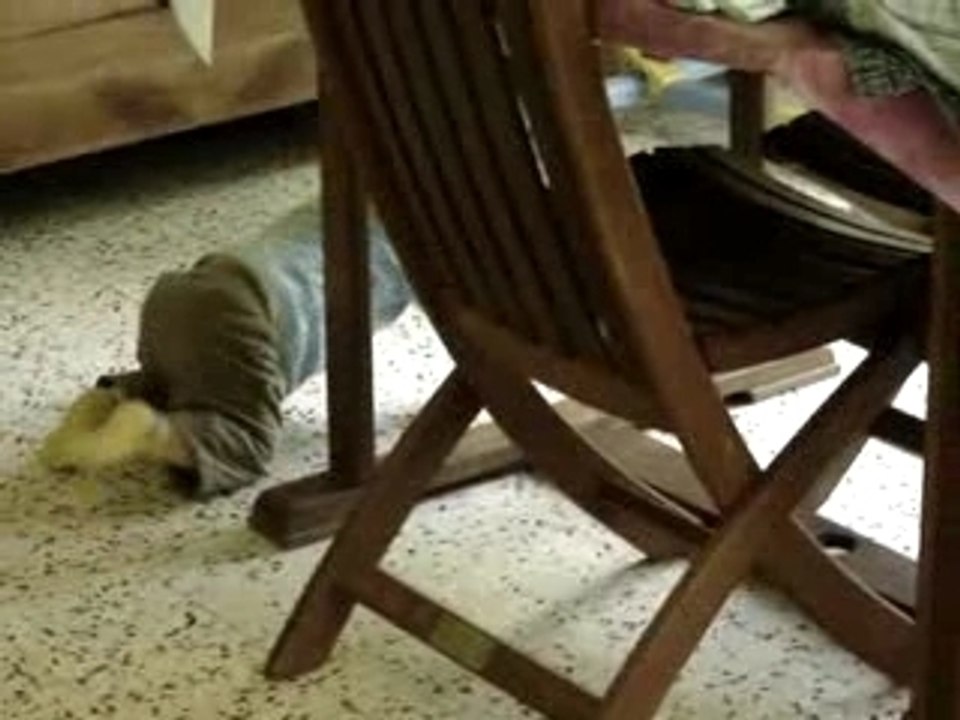 Mort de rire