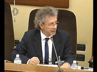 Roma - Audizione di Cirino Strano e Fiorenzo Marinelli (21.04.16)