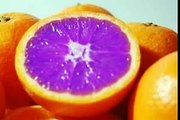 Some Amazing Facts About the Purple Orange