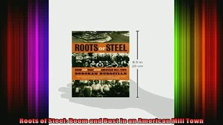 READ book  Roots of Steel Boom and Bust in an American Mill Town Full EBook
