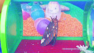 SURPRISE EGGS Disney Paw Patrol + Peppa Pig + Blaze World Largest Cheeseball Surprise Egg Toys Video