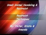 Small Animal Handling And Restraint Video