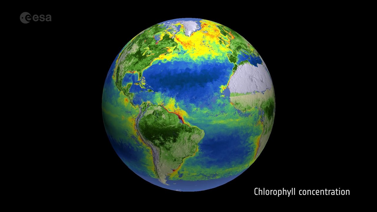 The many faces of Earth