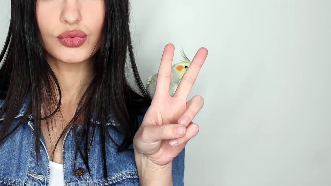 Everyday makeup tutorial! 2016
