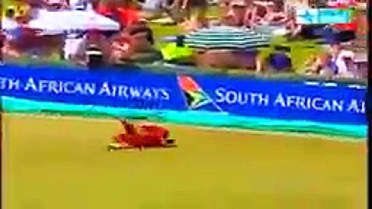 Best Catches in Cricket History! Best Acrobatic Catches! (Please comment the best catch)