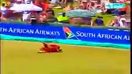 Best Catches in Cricket History! Best Acrobatic Catches! (Please comment the best catch)