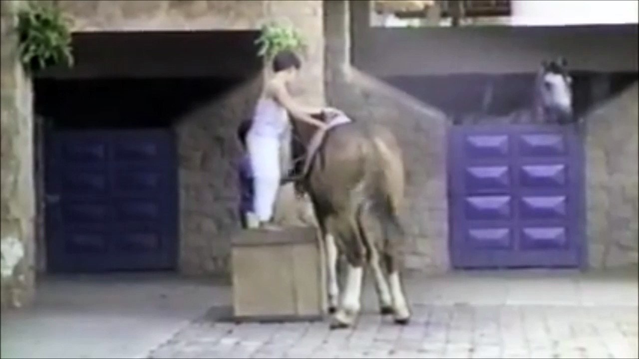 Un chien fait fuir des enfant et s'en va à dos de cheval... WTF